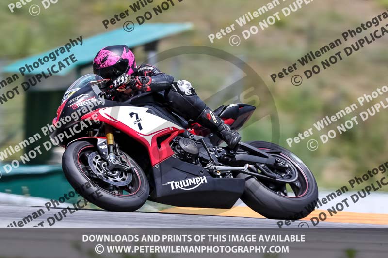 15 to 17th july 2013;Brno;event digital images;motorbikes;no limits;peter wileman photography;trackday;trackday digital images